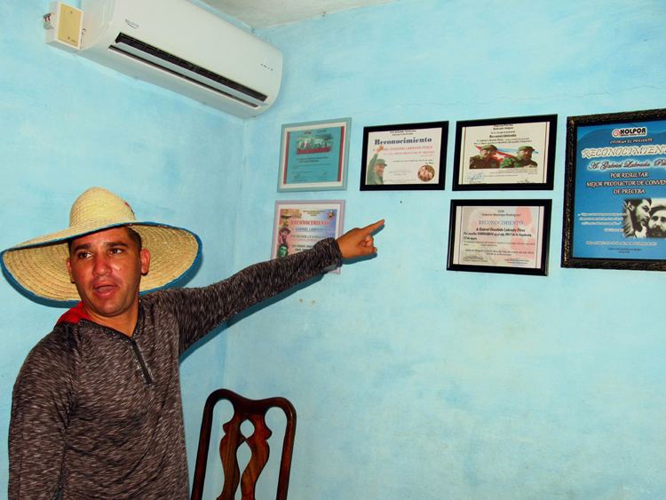 Gabriel Deosdado Labrada Pérez, con solo 35 años está en la vanguardia de la producción porcina de Holguín. porcinoh2