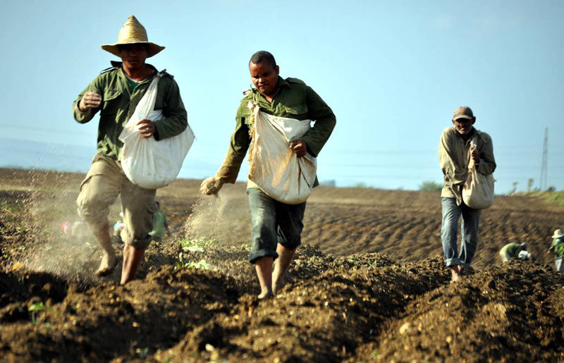 Agricultura retos Alexis 