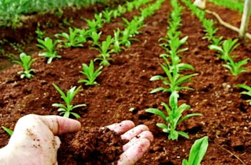 Agroecologia