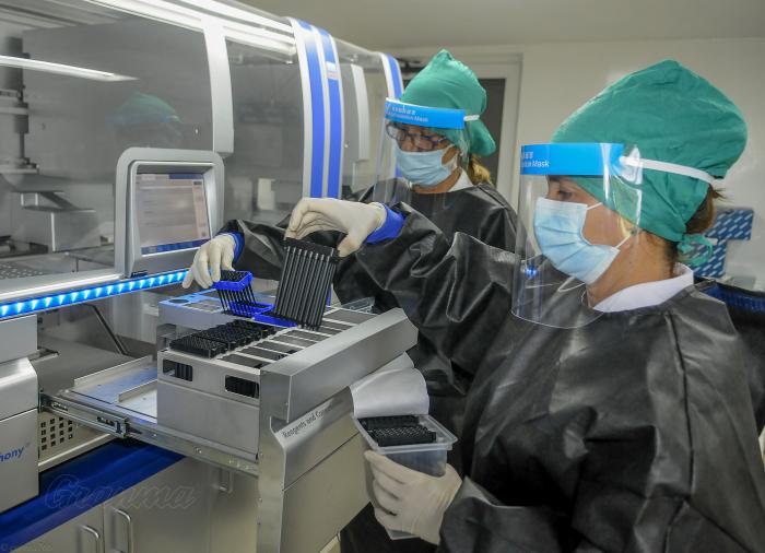 Lab PCR