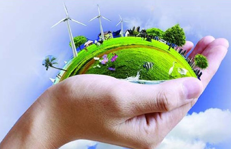Medio Ambiente