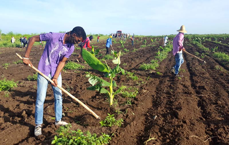 UJC agrcultura 2