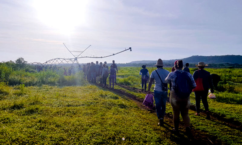 Los jóvenes se dirigen al área de cultivos UJC agrcultura 5