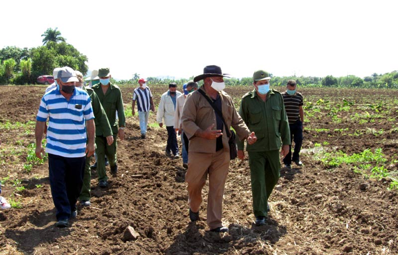 Ernesto Santiesteban, máxima autoridad política de Holguín, recorrió zonas agropecuarias del municipio de Calixto García. Foto: Alexis del Toro secretario recorrido cg