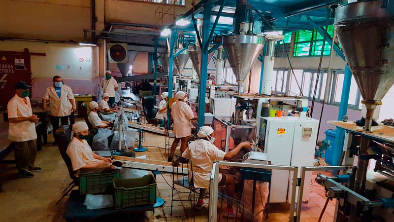 CAE torrefactora café 4