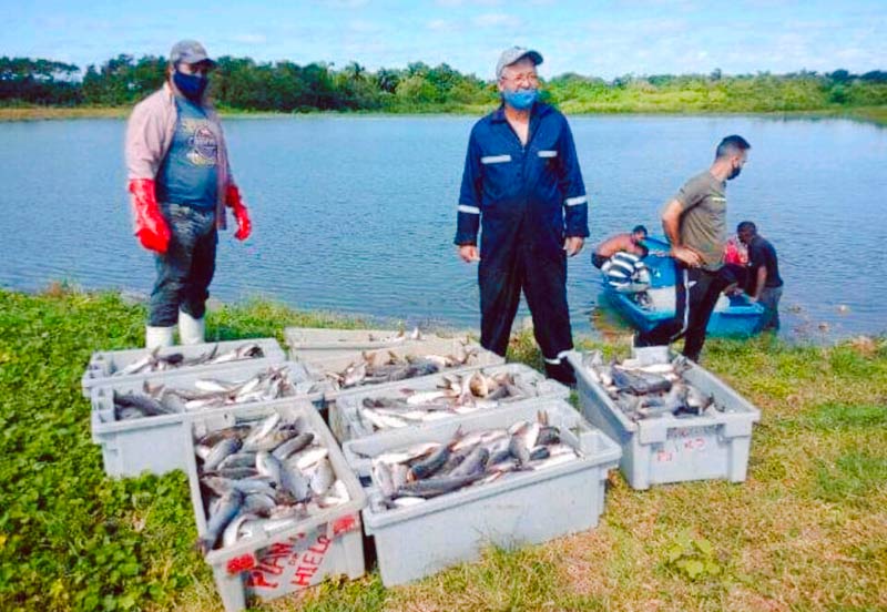 pesca yaguaneque 3