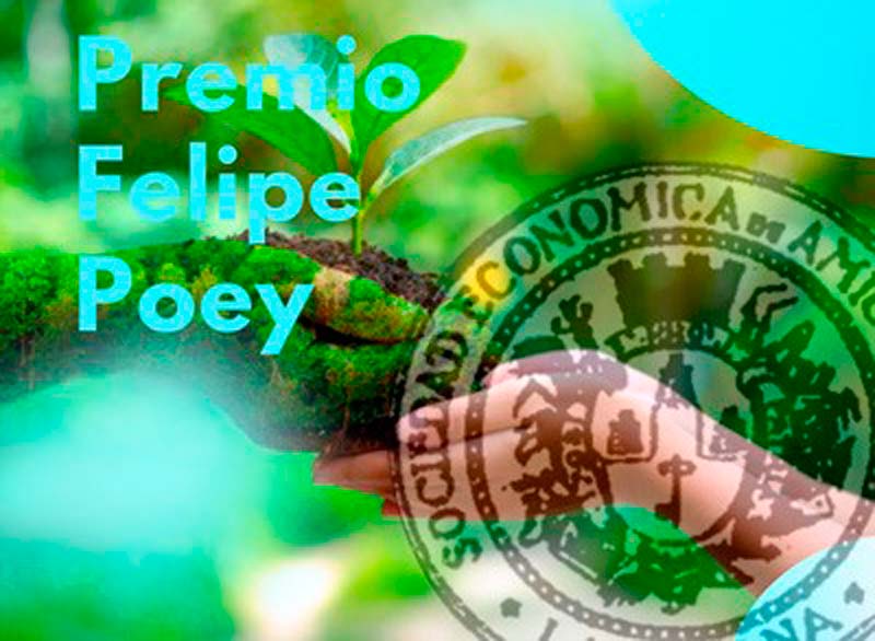 premio felipe poey