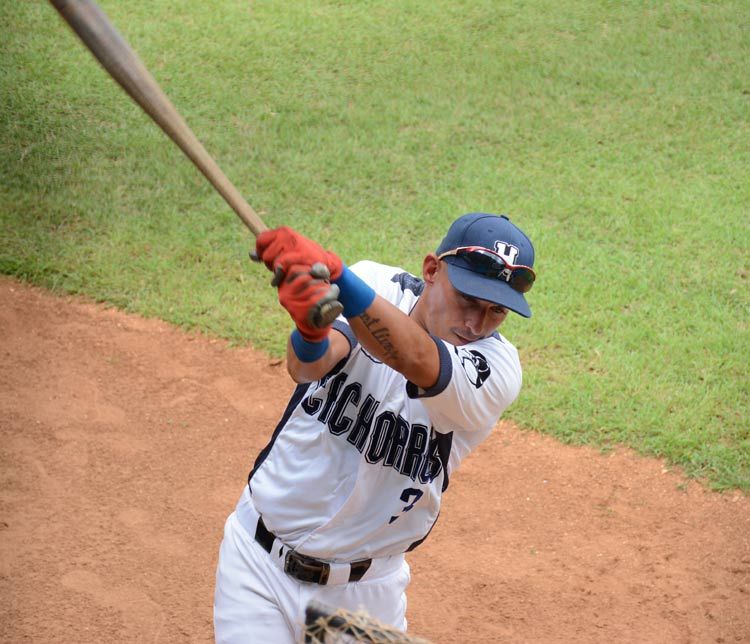 cachorros laindel 4