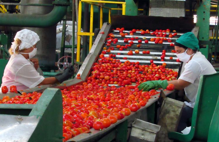 industria alimentaria