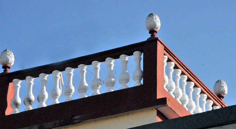 ELA Fotorrep copas barro 1