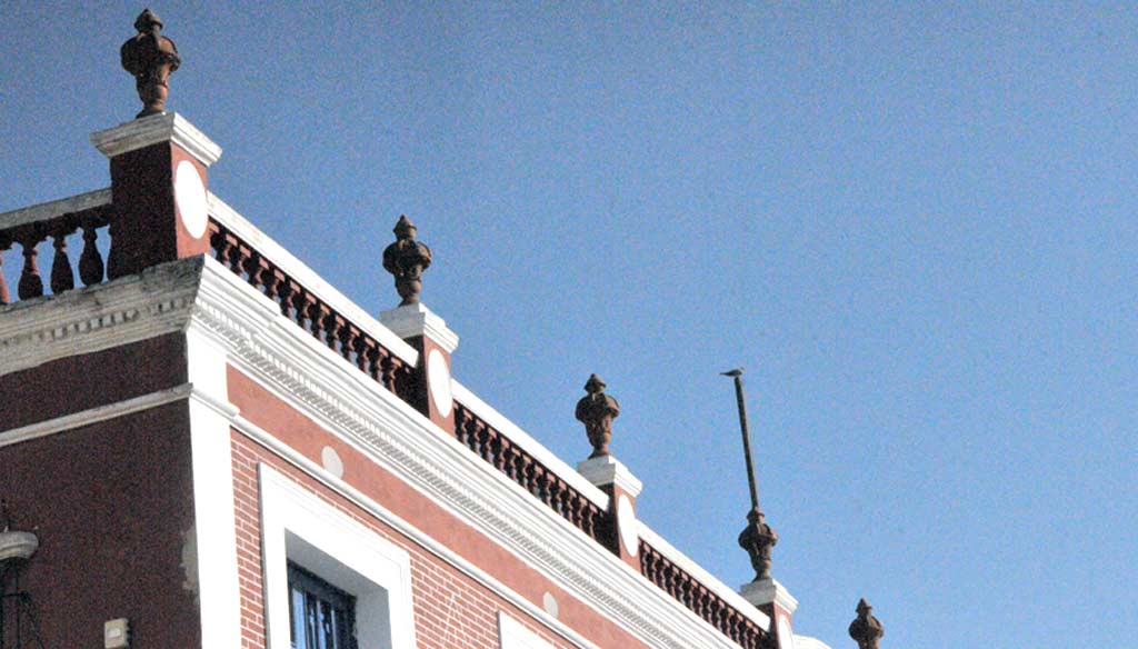 ELA Fotorrep copas barro 13