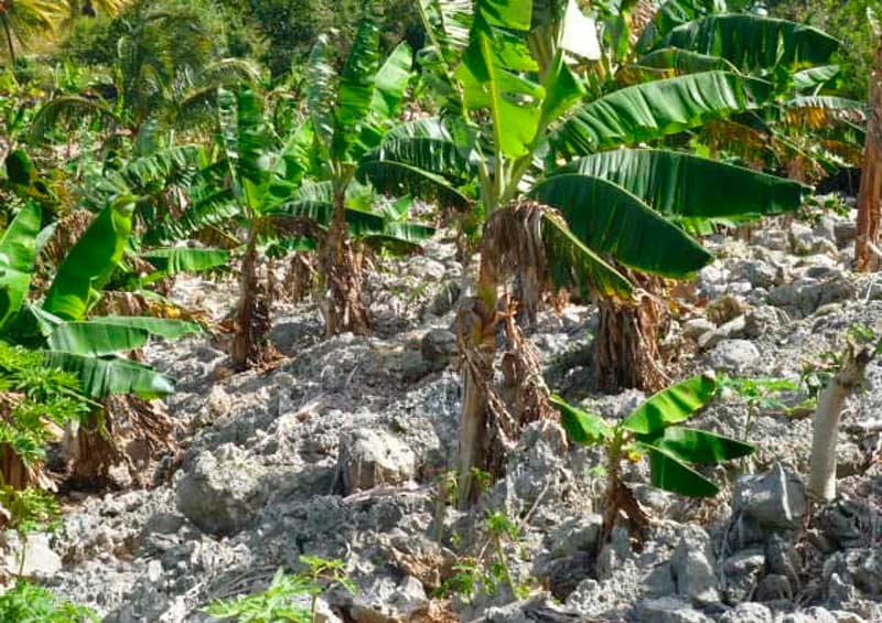 Entrevista Yenny torres 2