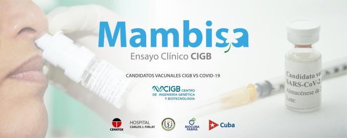 Mambisa