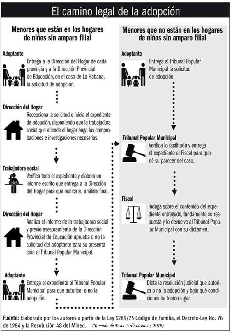 adopción reportaje Infografía 