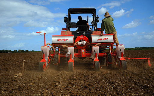agriculture