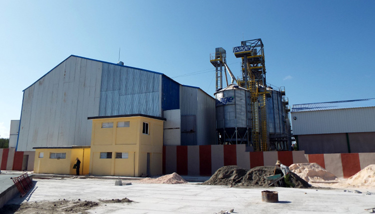 Granos Planta de beneficio  3