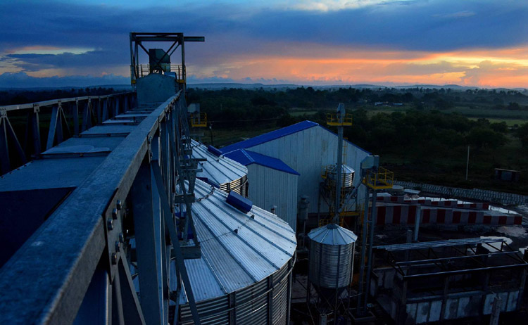 granos Planta de beneficio 1