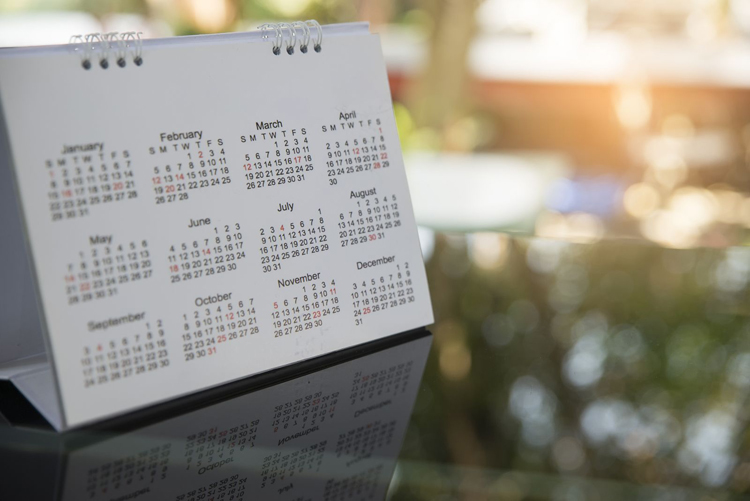 calendario de meses