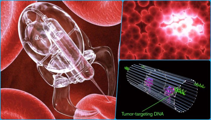 Nanobiomedicina