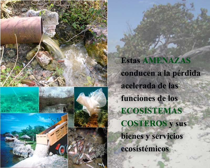 Ecosistemas Amenazas