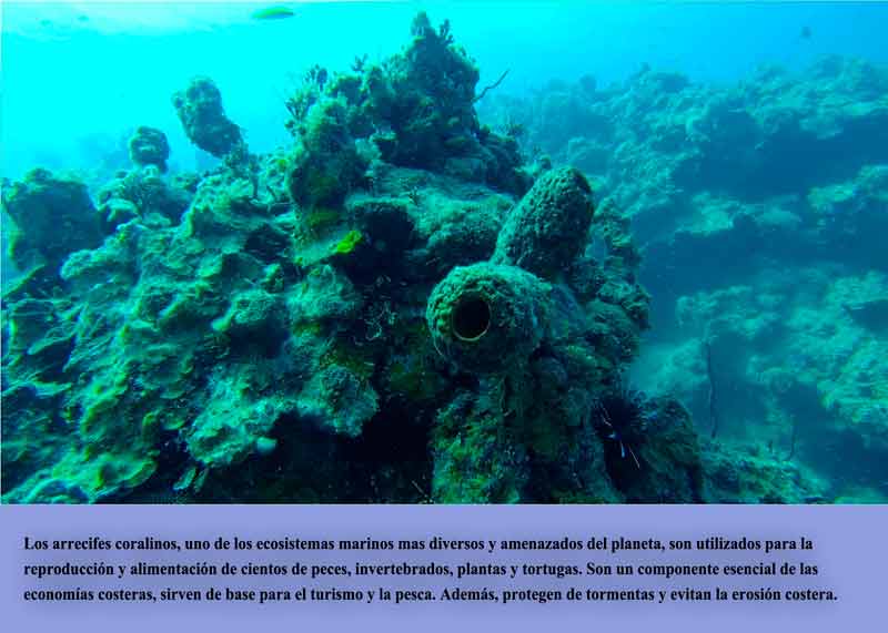  Arrecifes