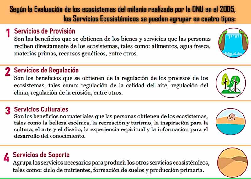  Infografía Ecosistemas