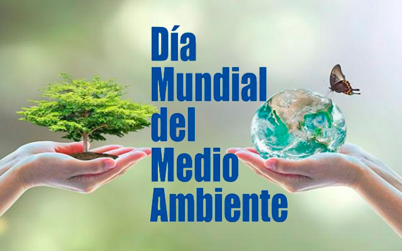 medio ambiente AMH