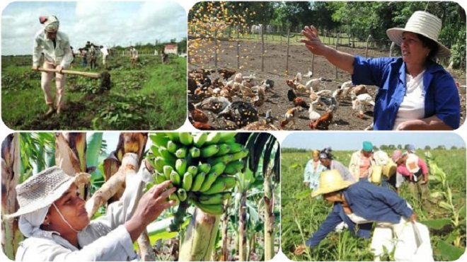 campesinas cubanas onu
