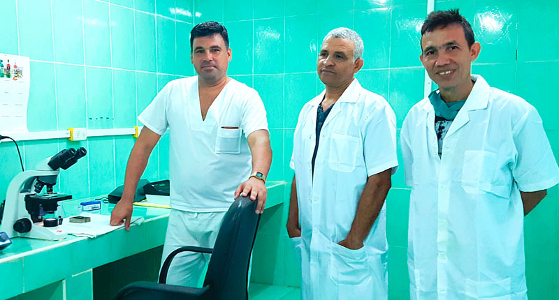 inseminacion porcina 4