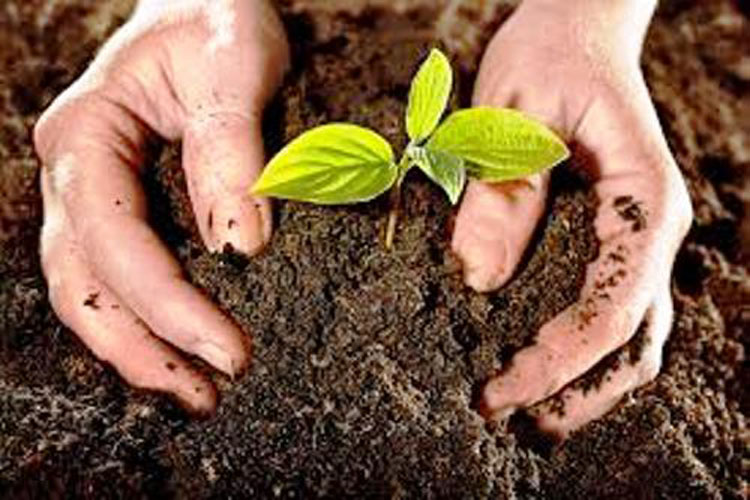 suelos agricultura