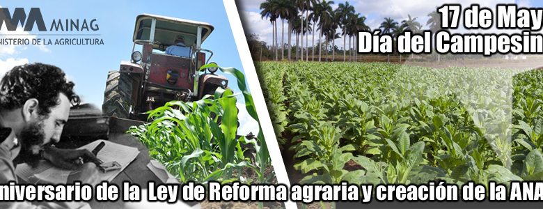 17 de mayo