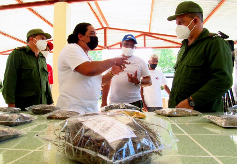 Trabajadores UEB Plantas Medicinales 02