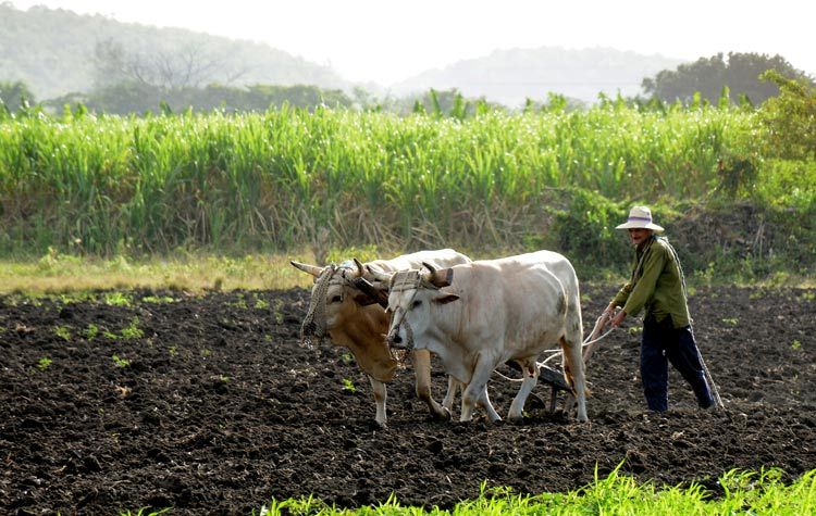 agroecologia 1