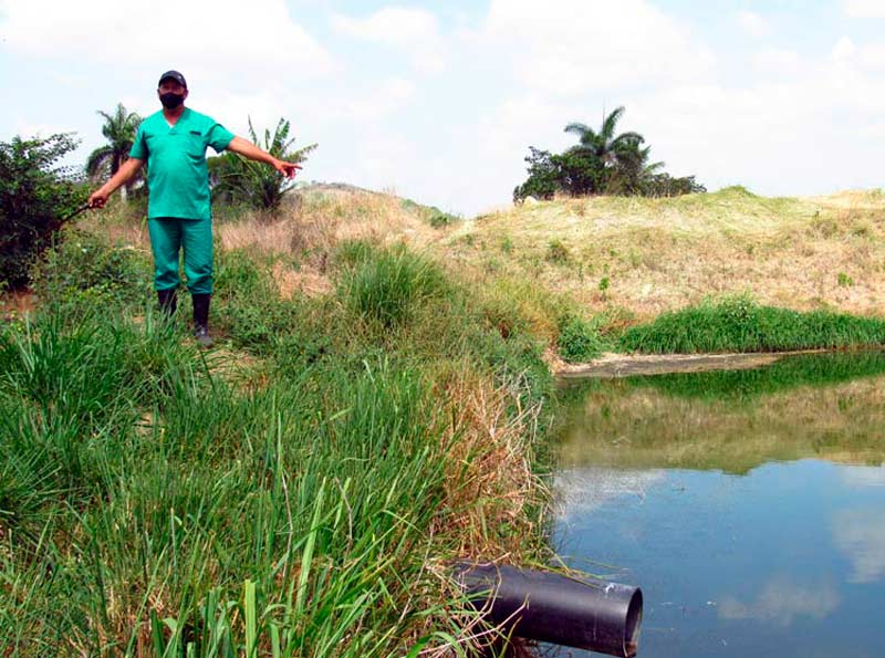 campesino Productor Mostrando las Lag ATH