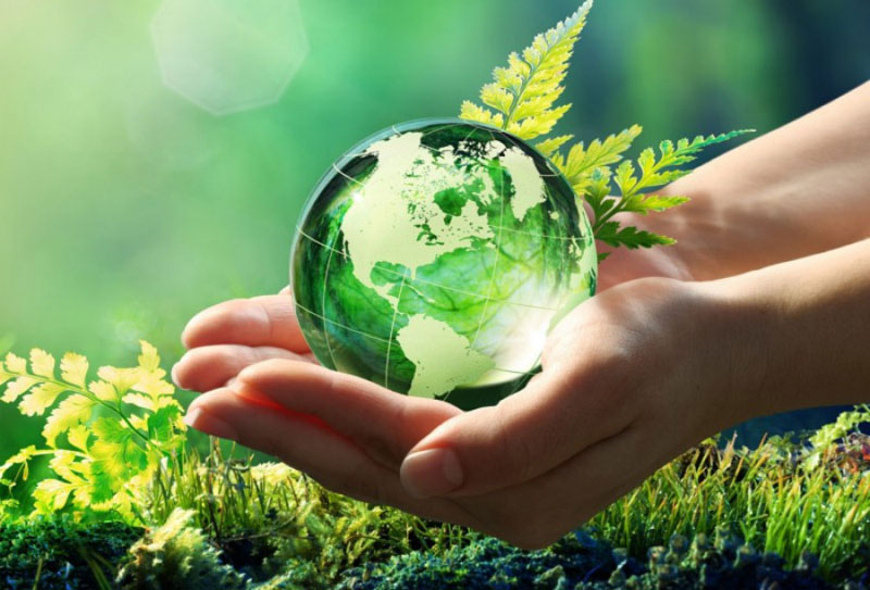 dia mundial medioambiente