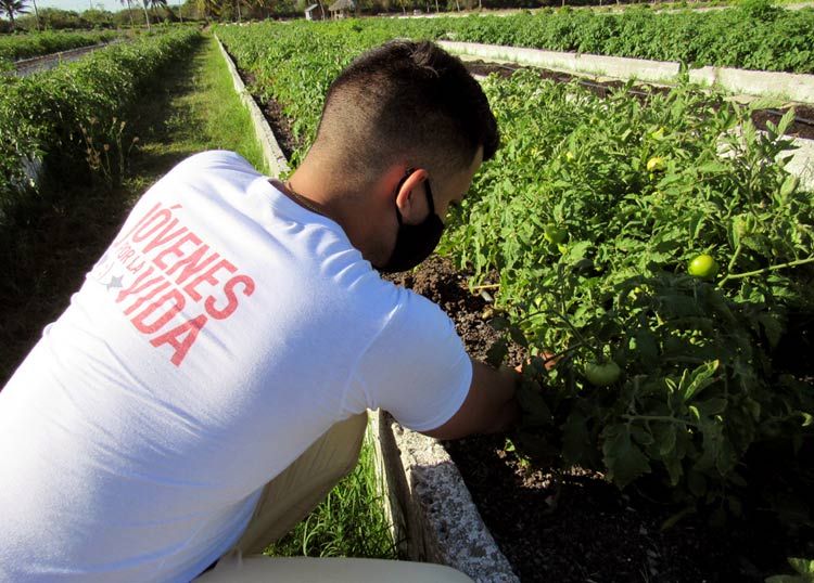 feem trabajo volun 1