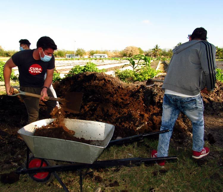 feem trabajo volun 2