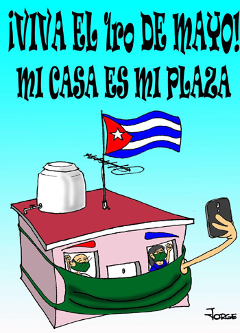 mayo caricatura