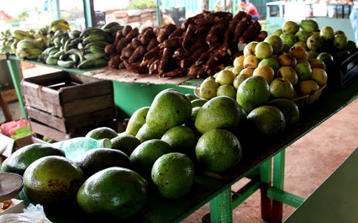 productos agricolas