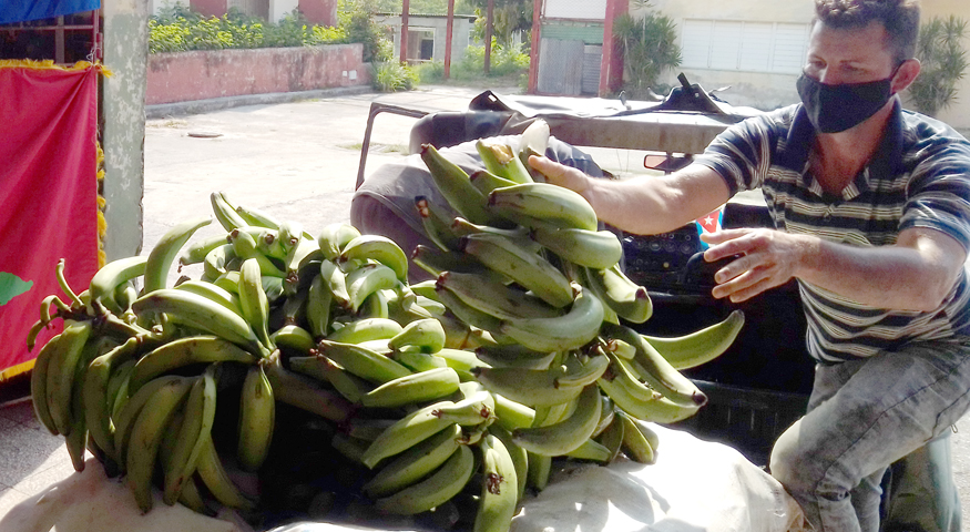 donacion campesinos