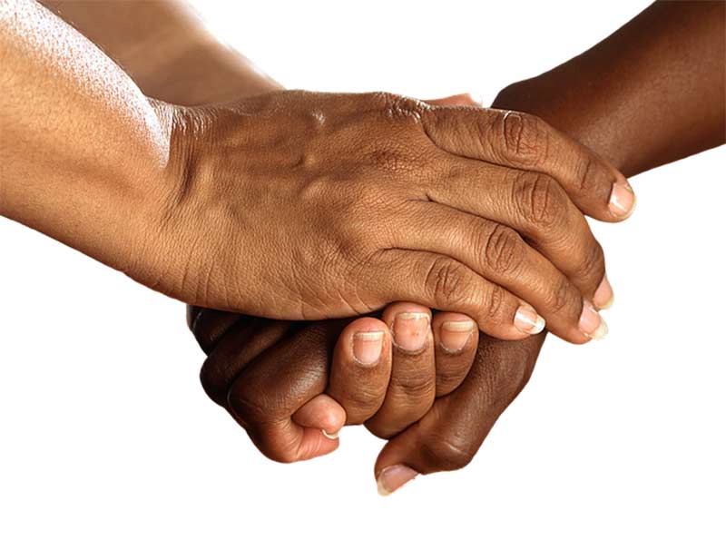 sensibilidad