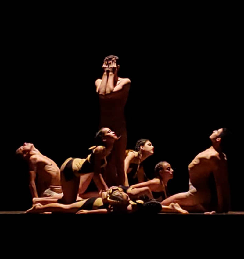 Codanza 5
