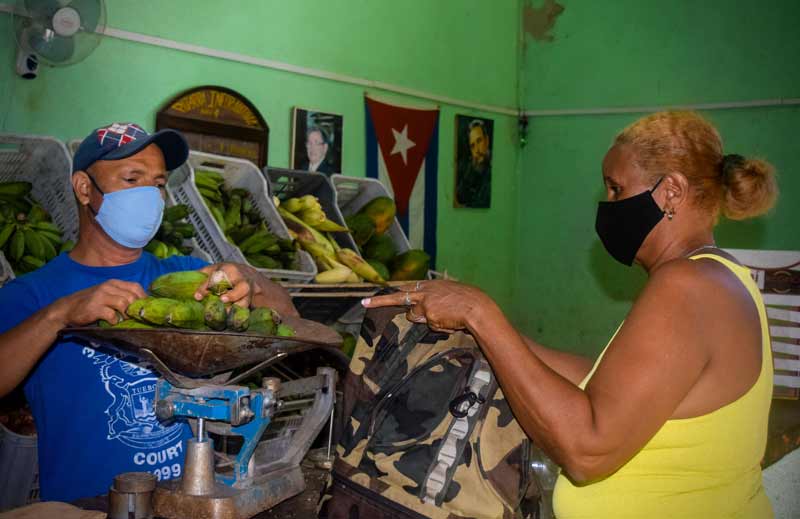 hcs precios mercados produccion 02