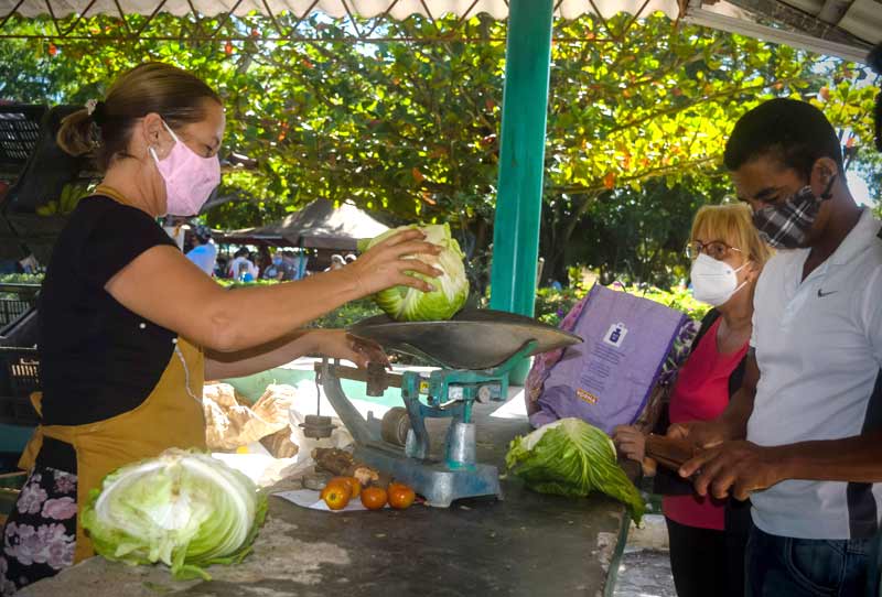 hcs precios mercados produccion 03