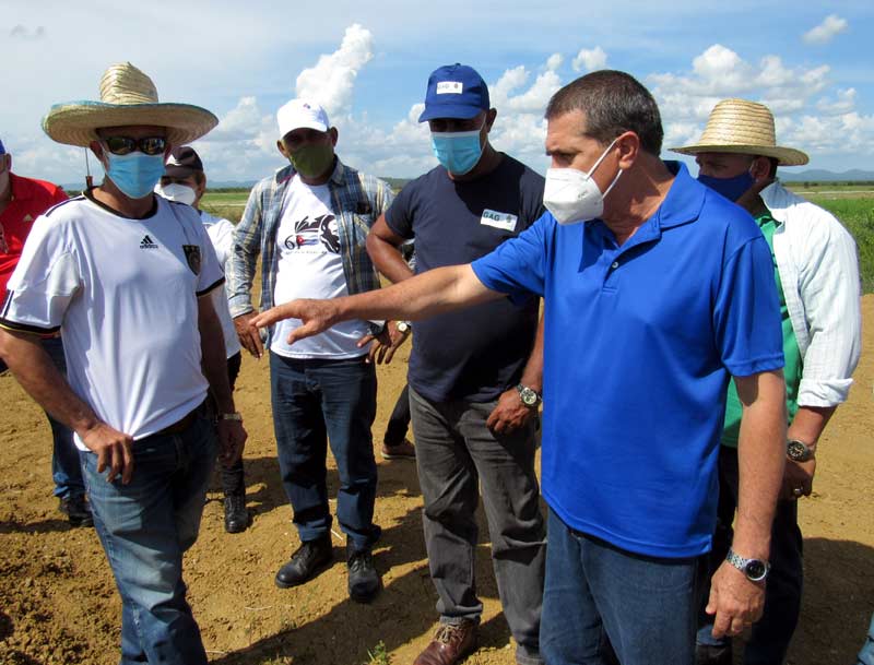 recorrido ATH 4