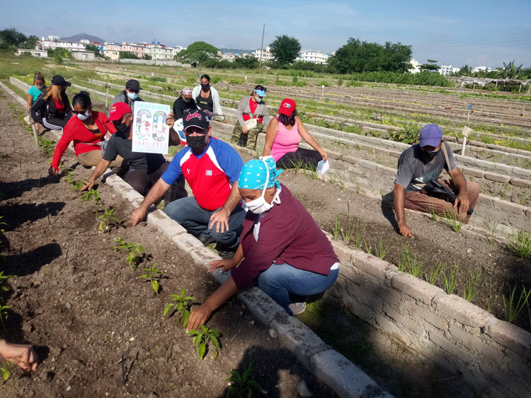 Trabajovoluntario 1