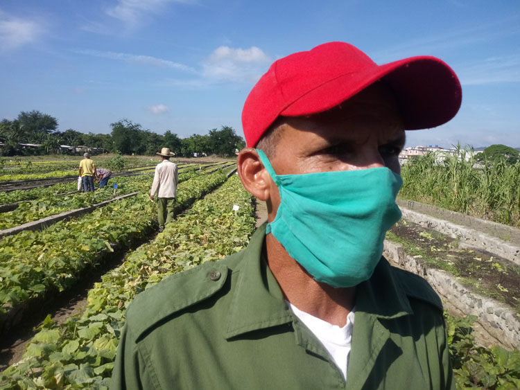Trabajovoluntario 2