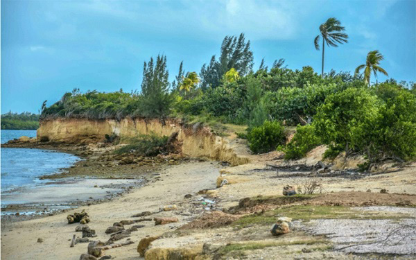 costa proteccion1