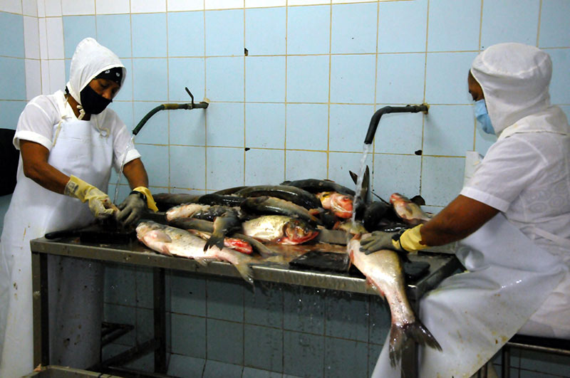 Holpes pesca 2021 ATH 2