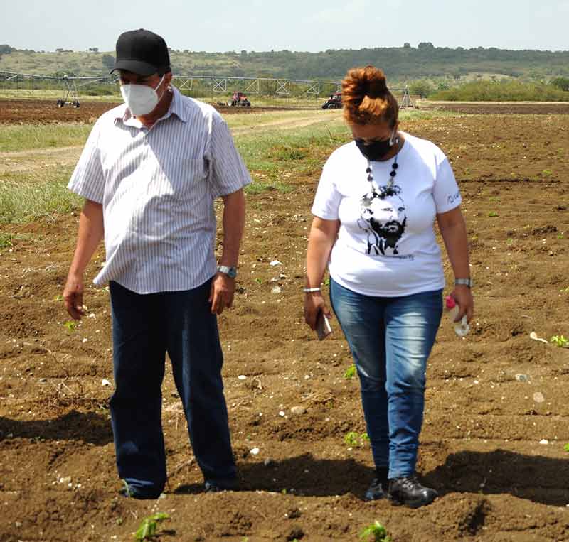 Mayarí recorrido ATH 1